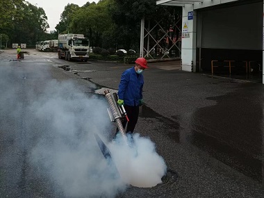 和顺除四害——如何在冬季有效灭治害虫