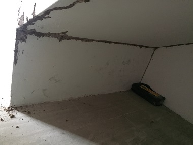 桂城白蚁防治机构房屋避免白蚁侵害这样做